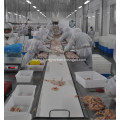 poultry processing line of belt conveyor